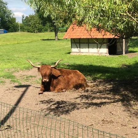 Landhaus Saterland Ferienwohnung * Saterland