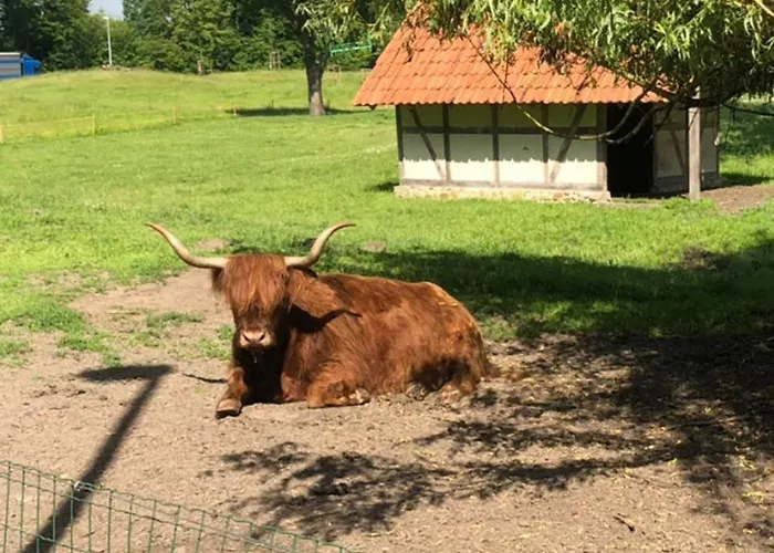 Landhaus Saterland Ferienwohnung * Saterland